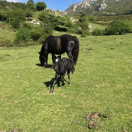 Landhaus La Gortica